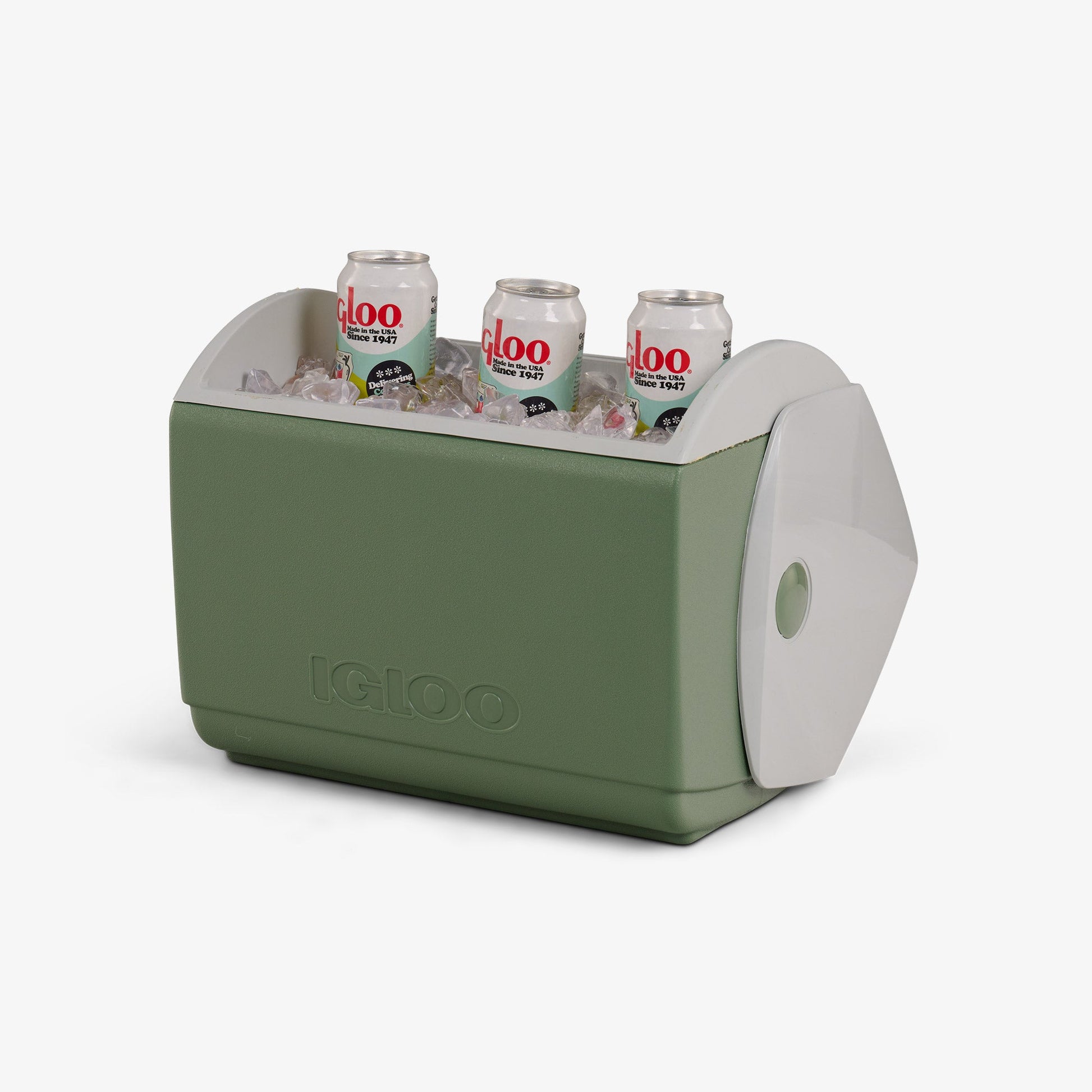 peanuts-take-care-of-the-earth-ecocool-playmate-elite-16-qt-cooler-z0 00027698-P1.jpg
