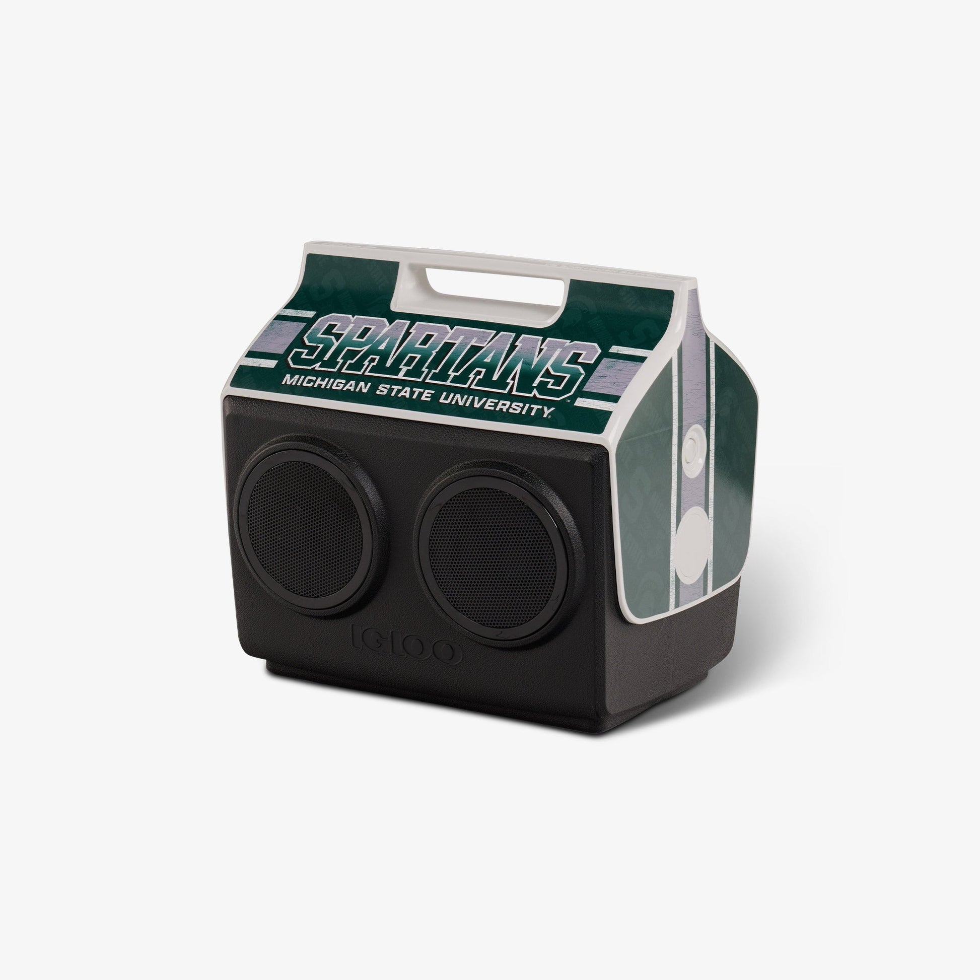 michigan-state-university-kooltunes-f3 00027730-H1.jpg