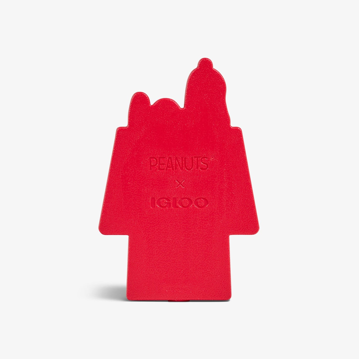 snoopy-doghouse-ice-block-2-pack-a4 00027845-BK.jpg