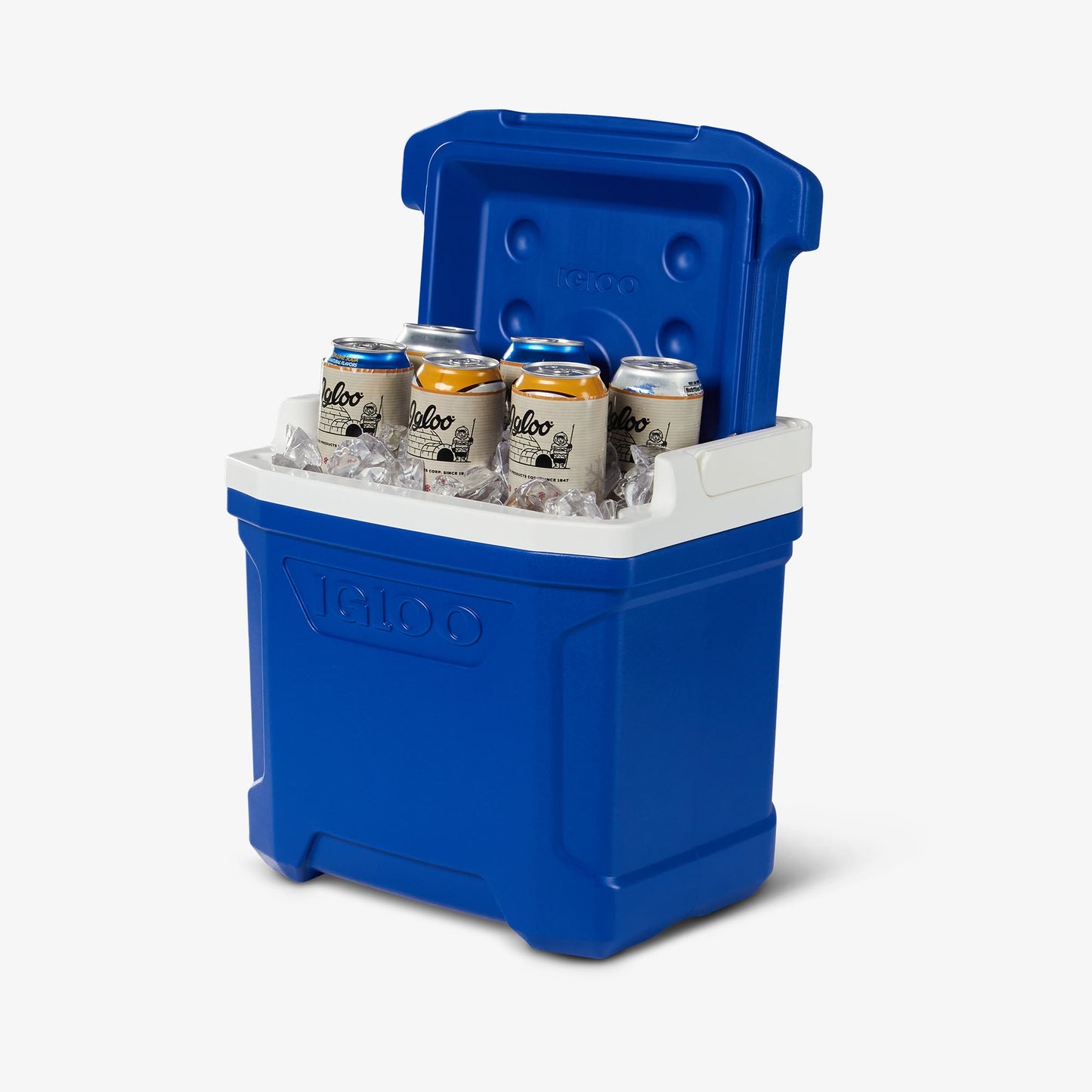 profile-ii-16-qt-cooler-m9 00032631-P1.jpg