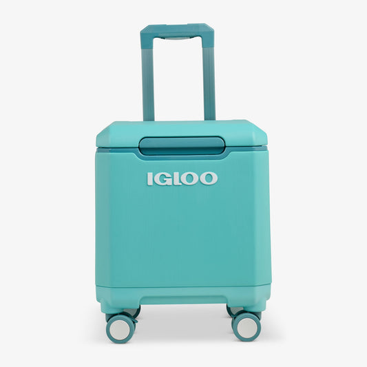 tag-along-too-spinner-cooler-m1 00033184-F1_b51e854c-365a-4272-b384-7c3dd41ac0b8.jpg