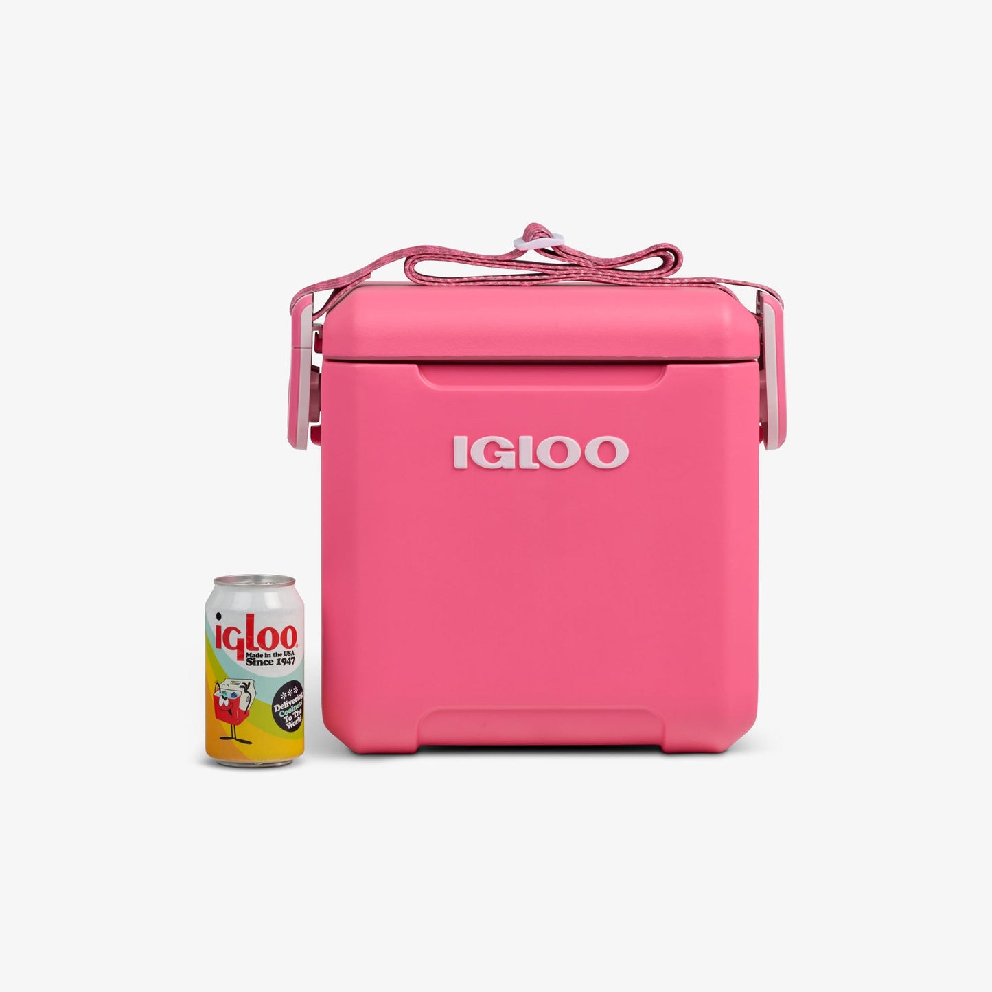 tag-along-too-remix-cooler-y9 00033199-P_861a5cd2-f15c-4217-a471-e33cc3890d9e.jpg