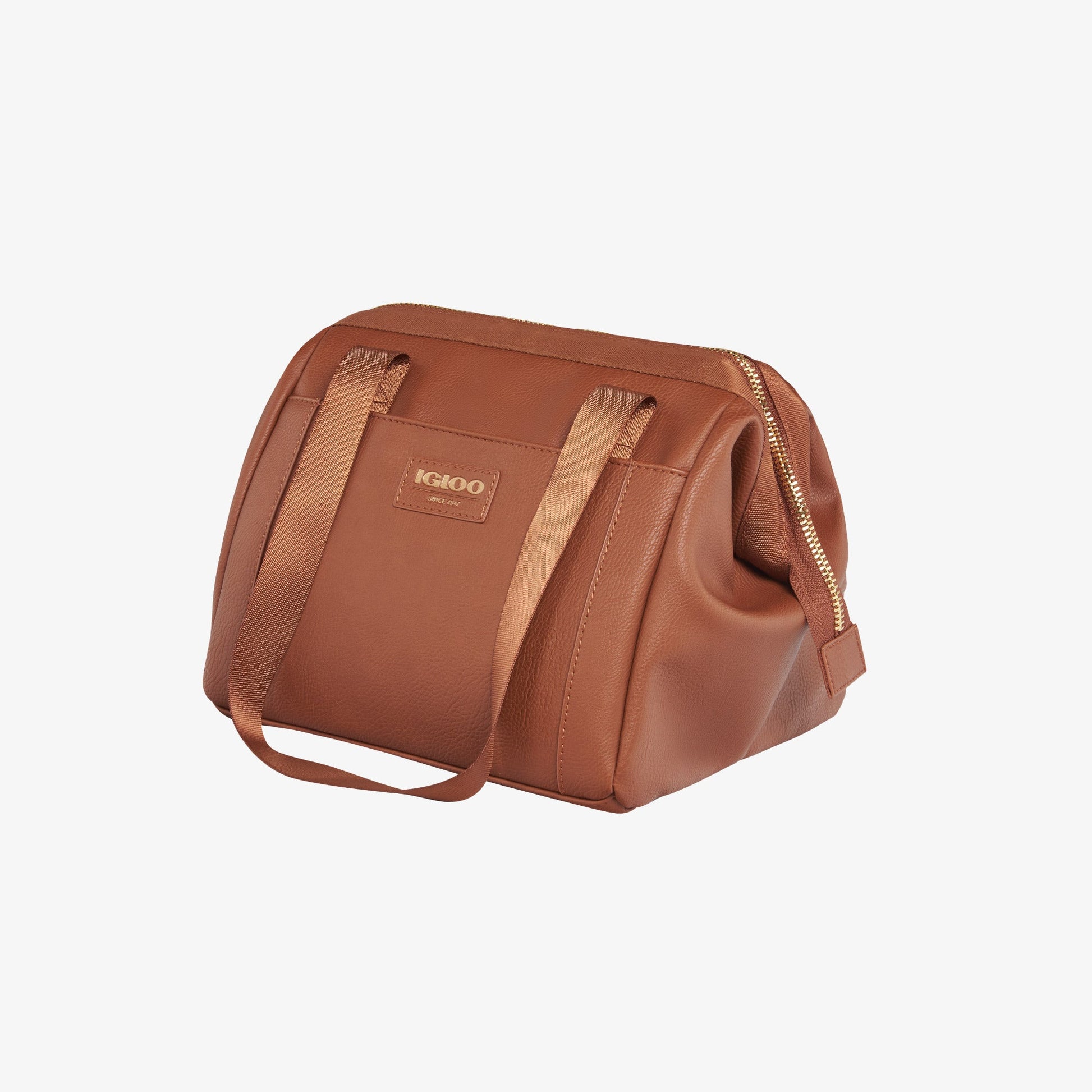 igloo-luxe-lunch-tote-cooler-bag-i6 00061160_2.jpg