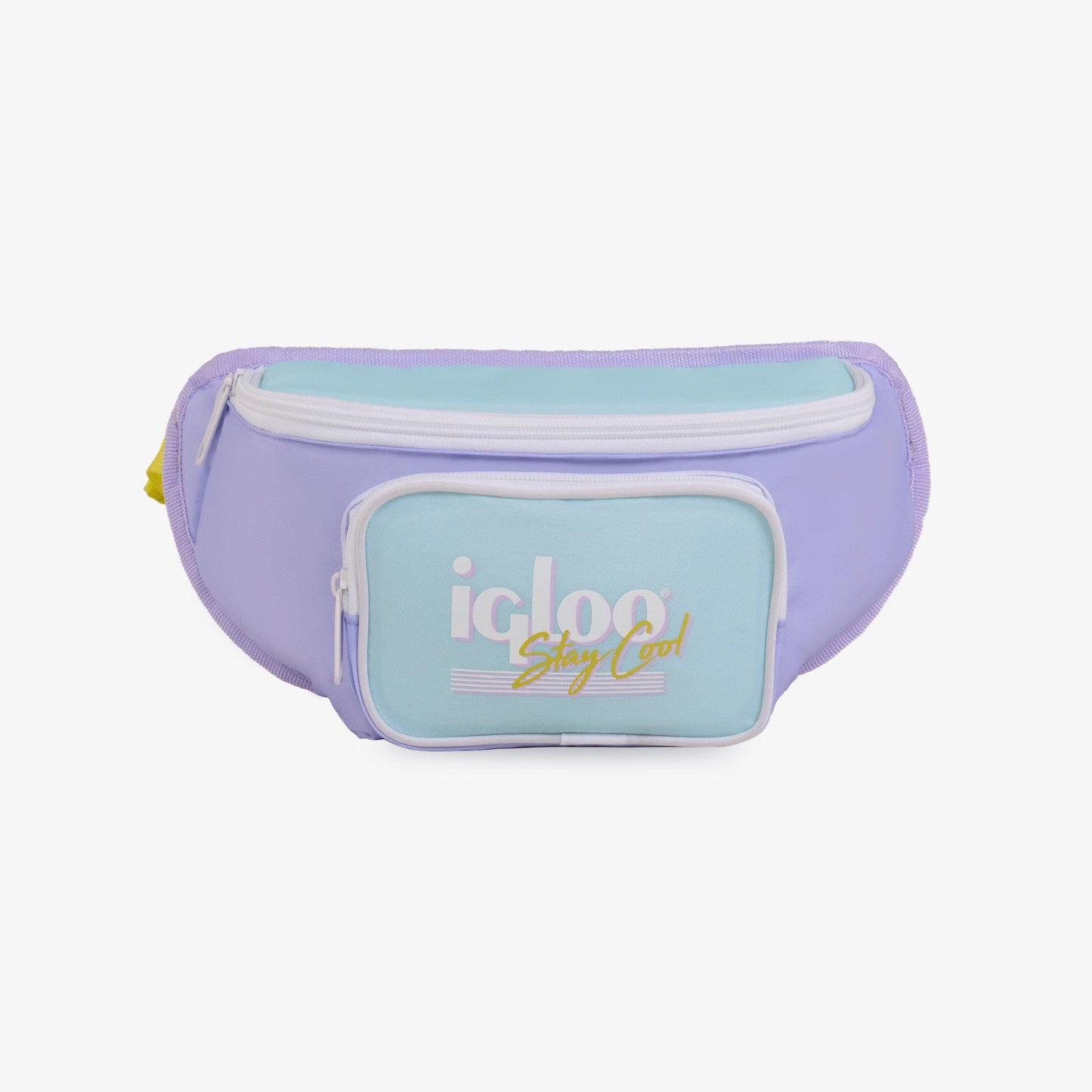 retro-fanny-pack-r2 00063078-F.jpg