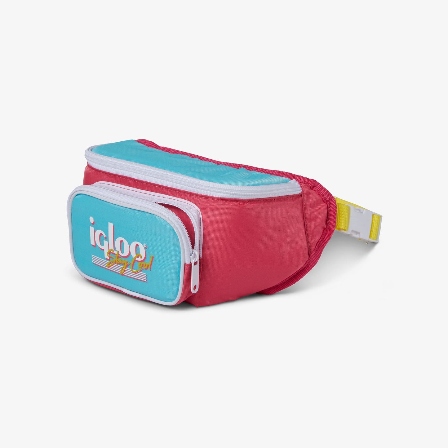 retro-fanny-pack-r2 00066058-O.jpg