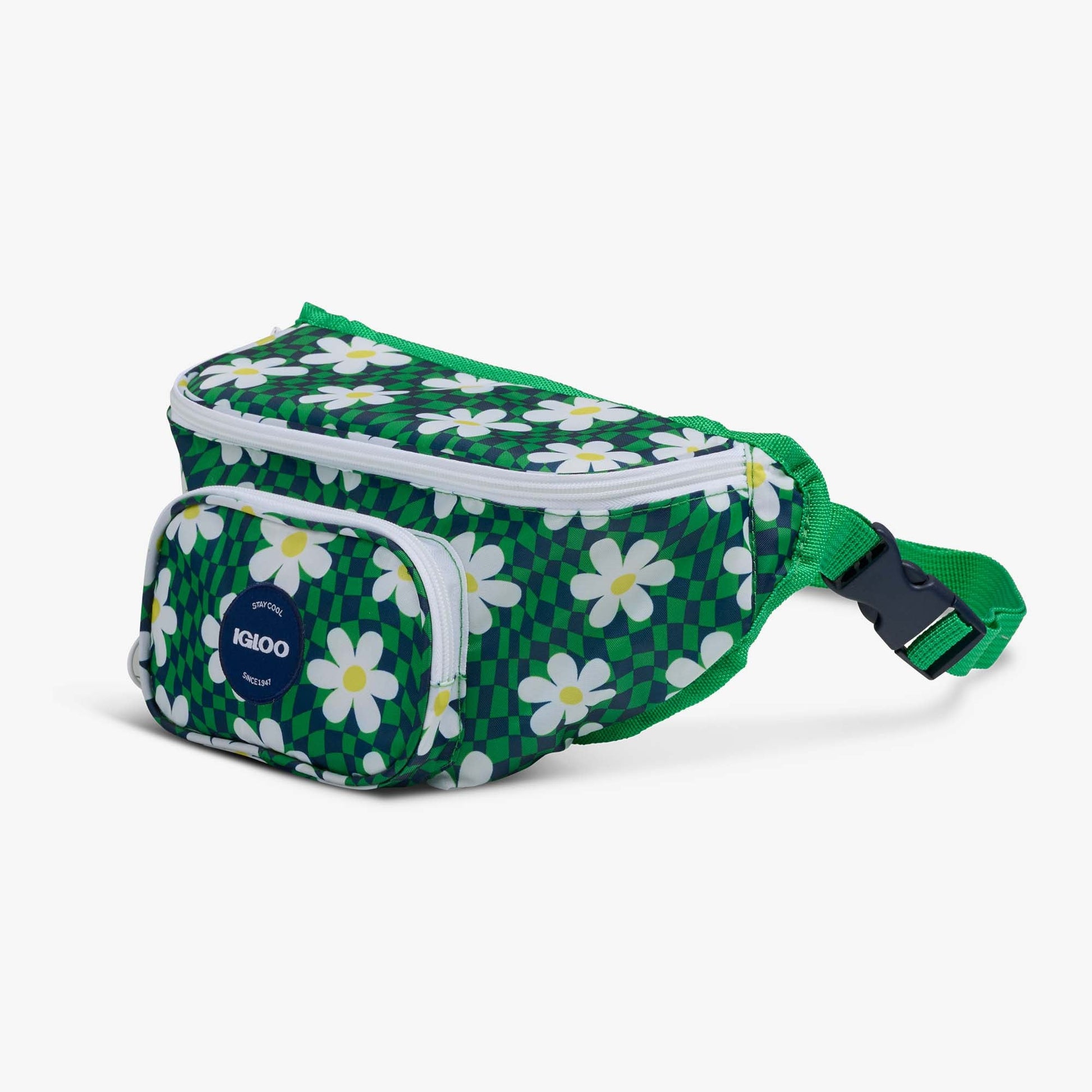 retro-fanny-pack-r2 00067206-H1.jpg