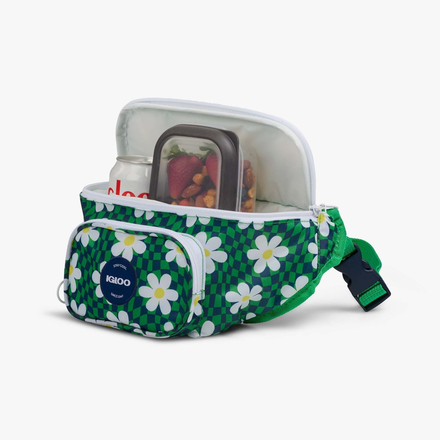retro-fanny-pack-r2 00067206-P1.jpg